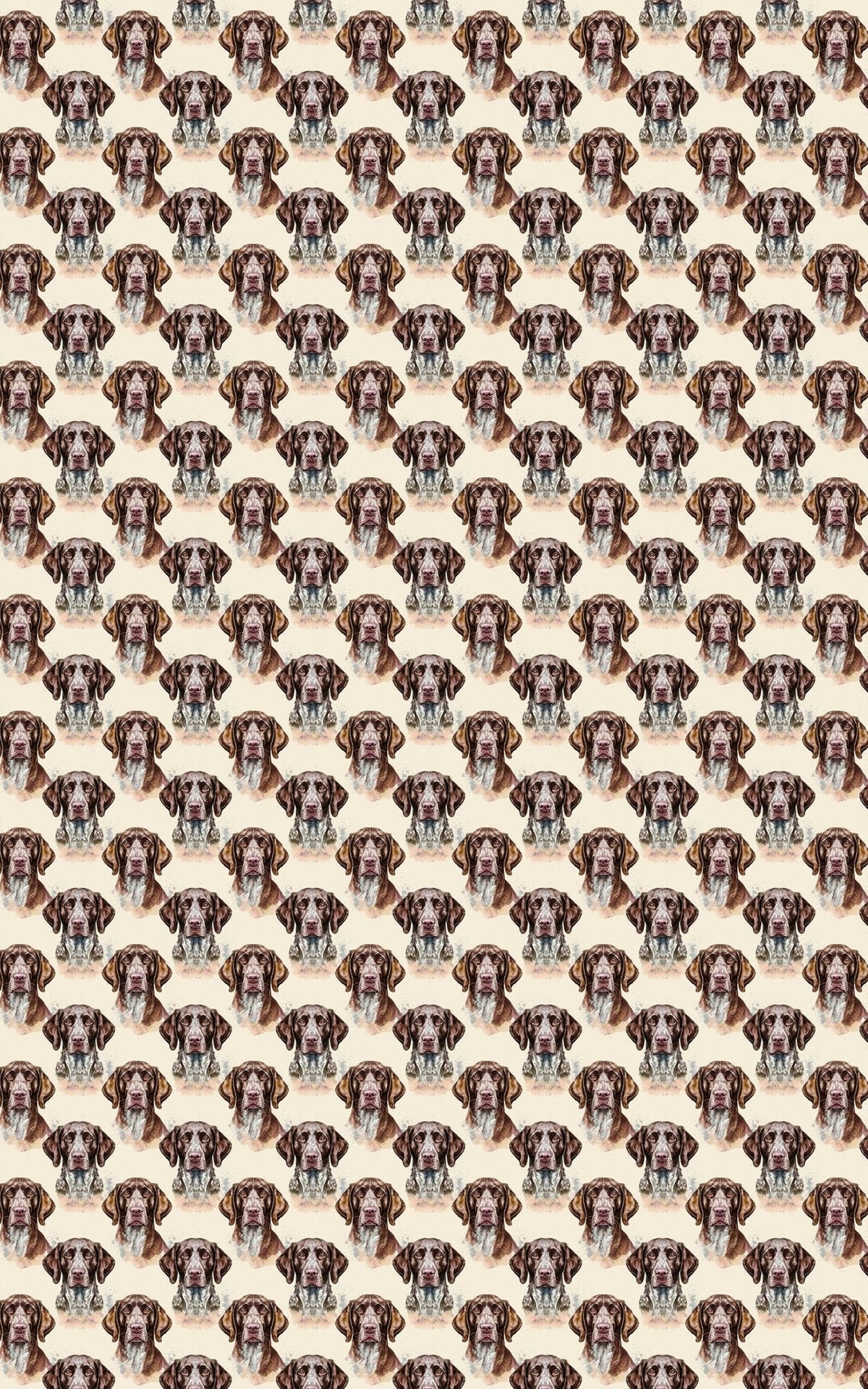 The Stylish Pointer Wrapping Paper
