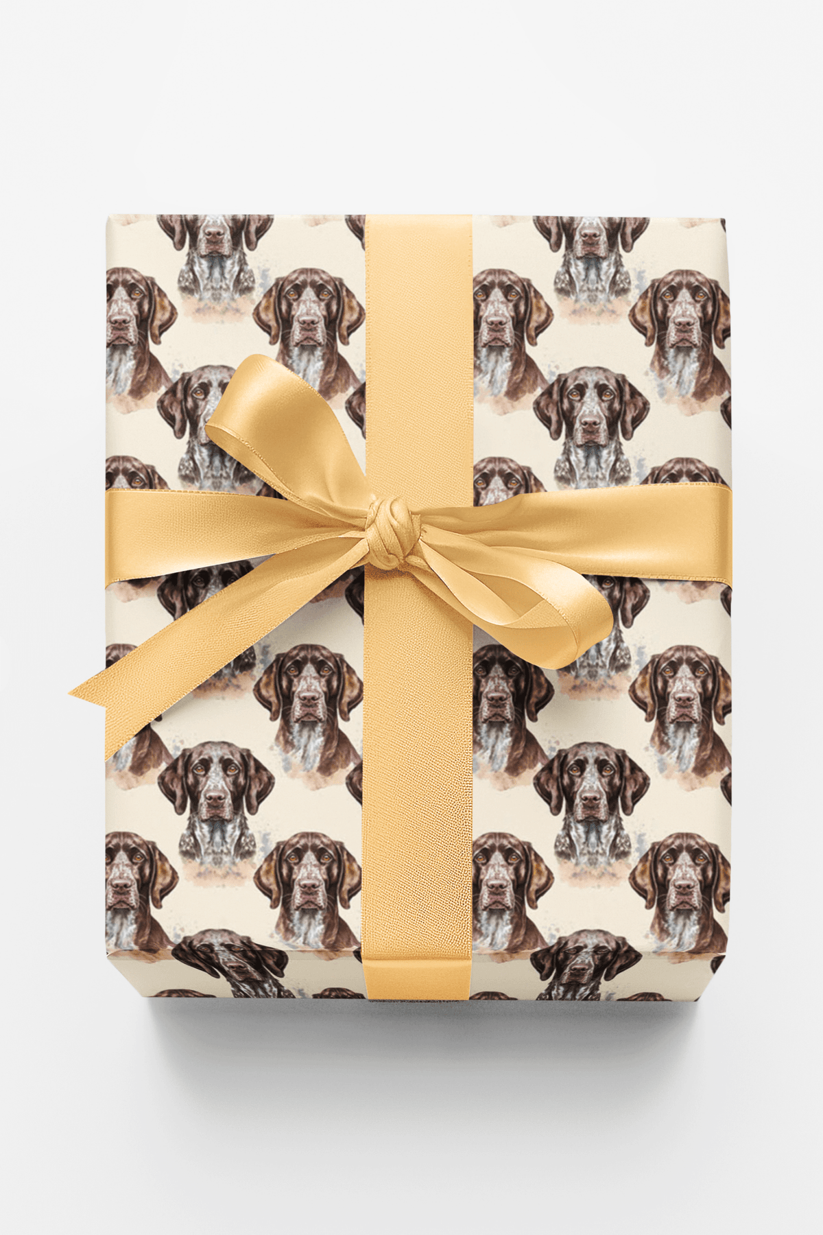 The Stylish Pointer Wrapping Paper