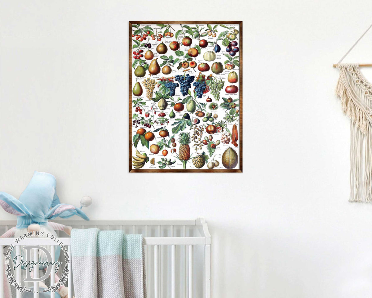 Montessori Wooden Poster Fruit #1