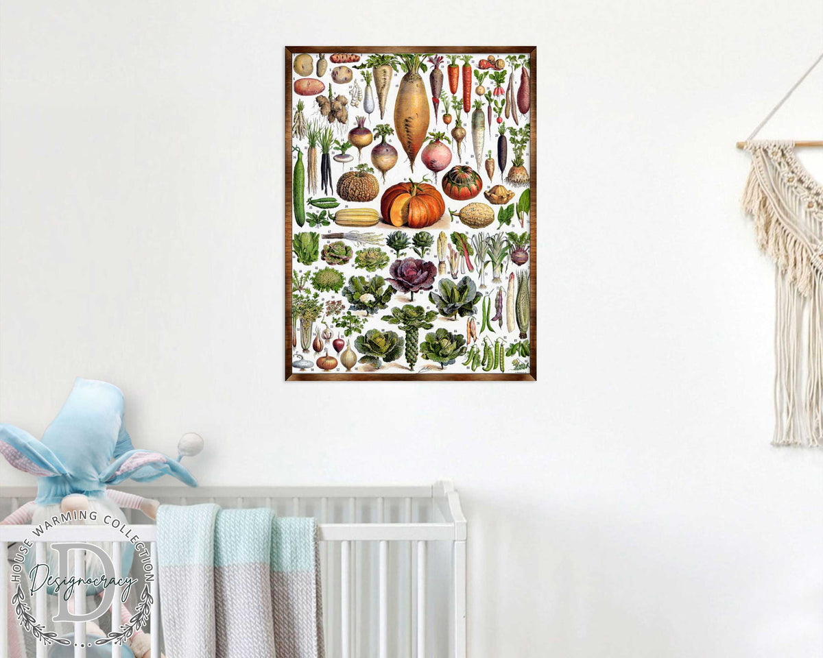 Montessori Wooden Poster Root Vegetables