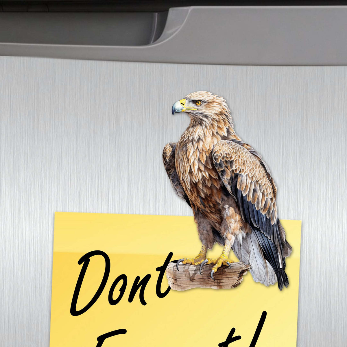 Eagle's Flight Decorative Eco Wood Magnets Set of 6 by G. Debrekht - Wildlife Decor - 8090101G-S6