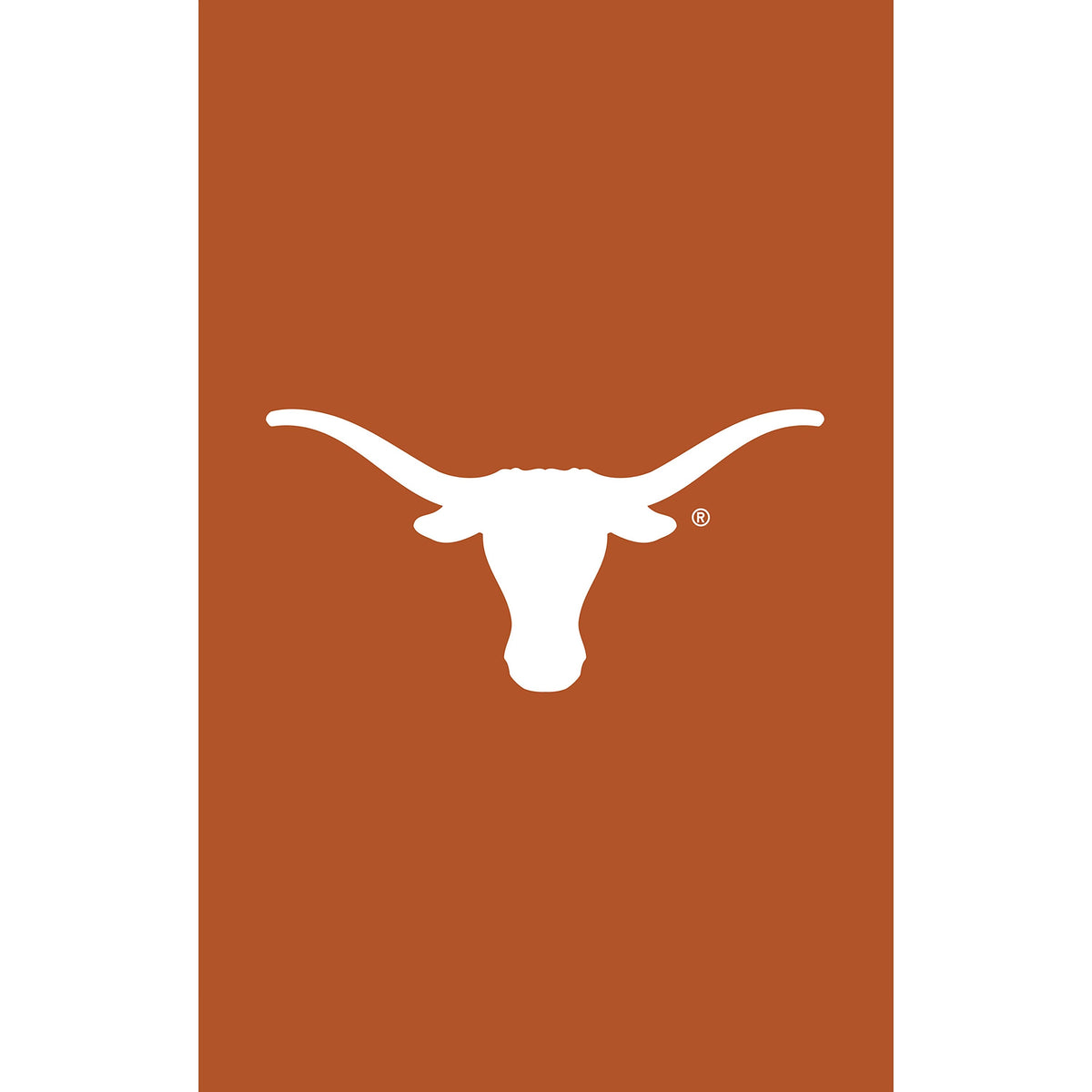 University of Texas Applique House Flag