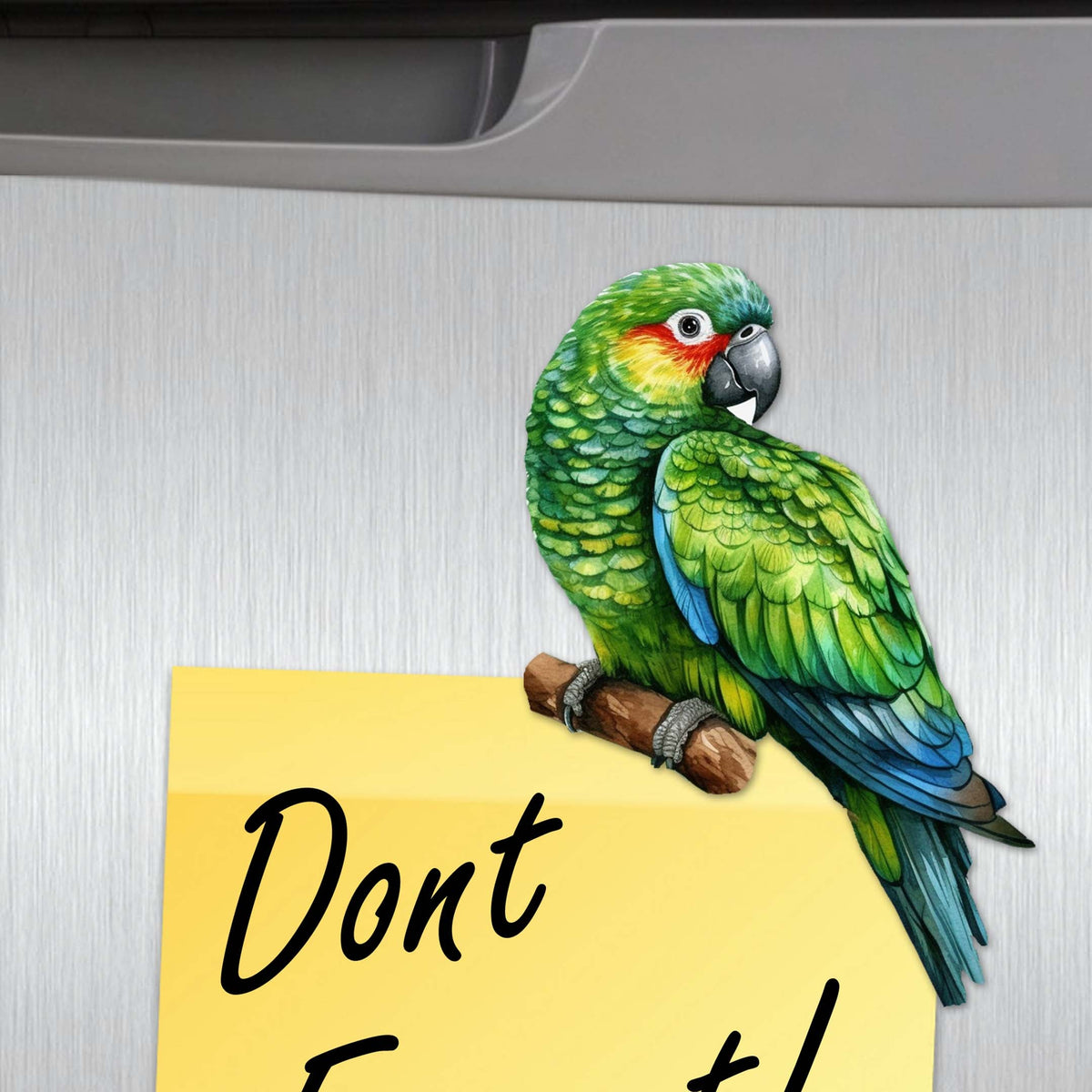 Parrots Decorative Eco Wood Magnets Set of 6 by G. Debrekht - Wildlife Decor - 8090013G-S6
