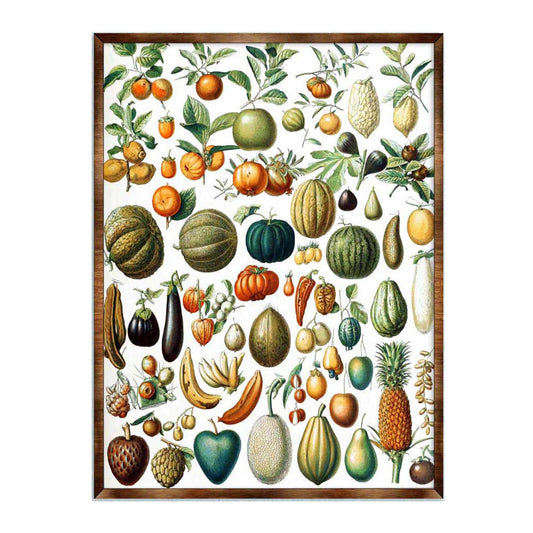 Montessori Wooden Poster Fruit #2