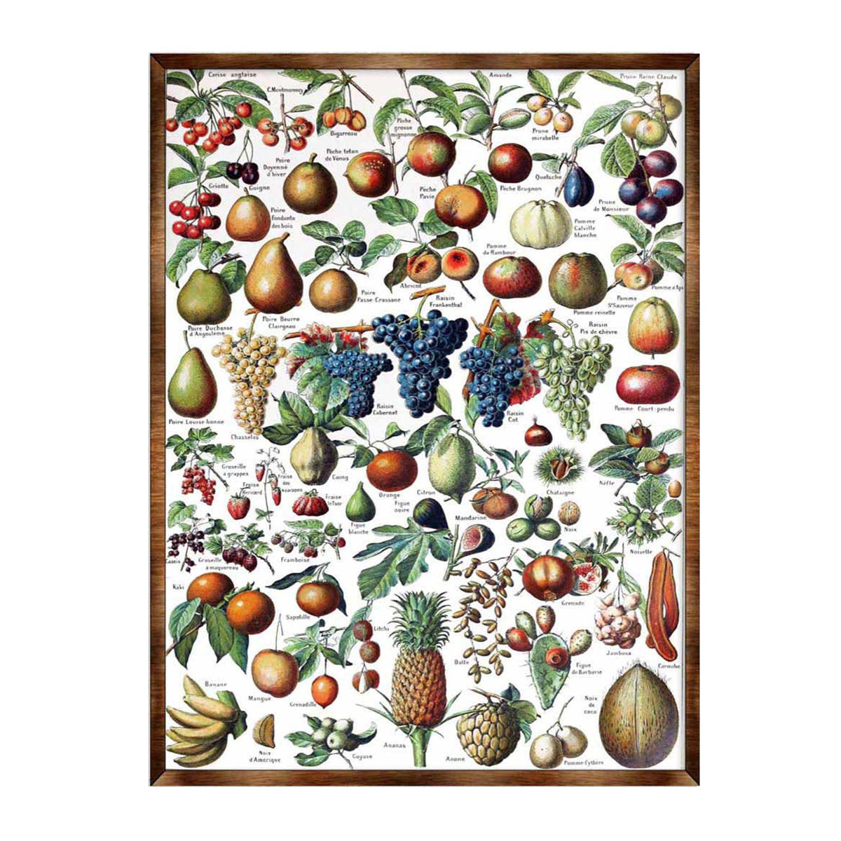 Montessori Wooden Poster Fruit #1