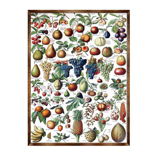 Montessori Wooden Poster Fruit #1