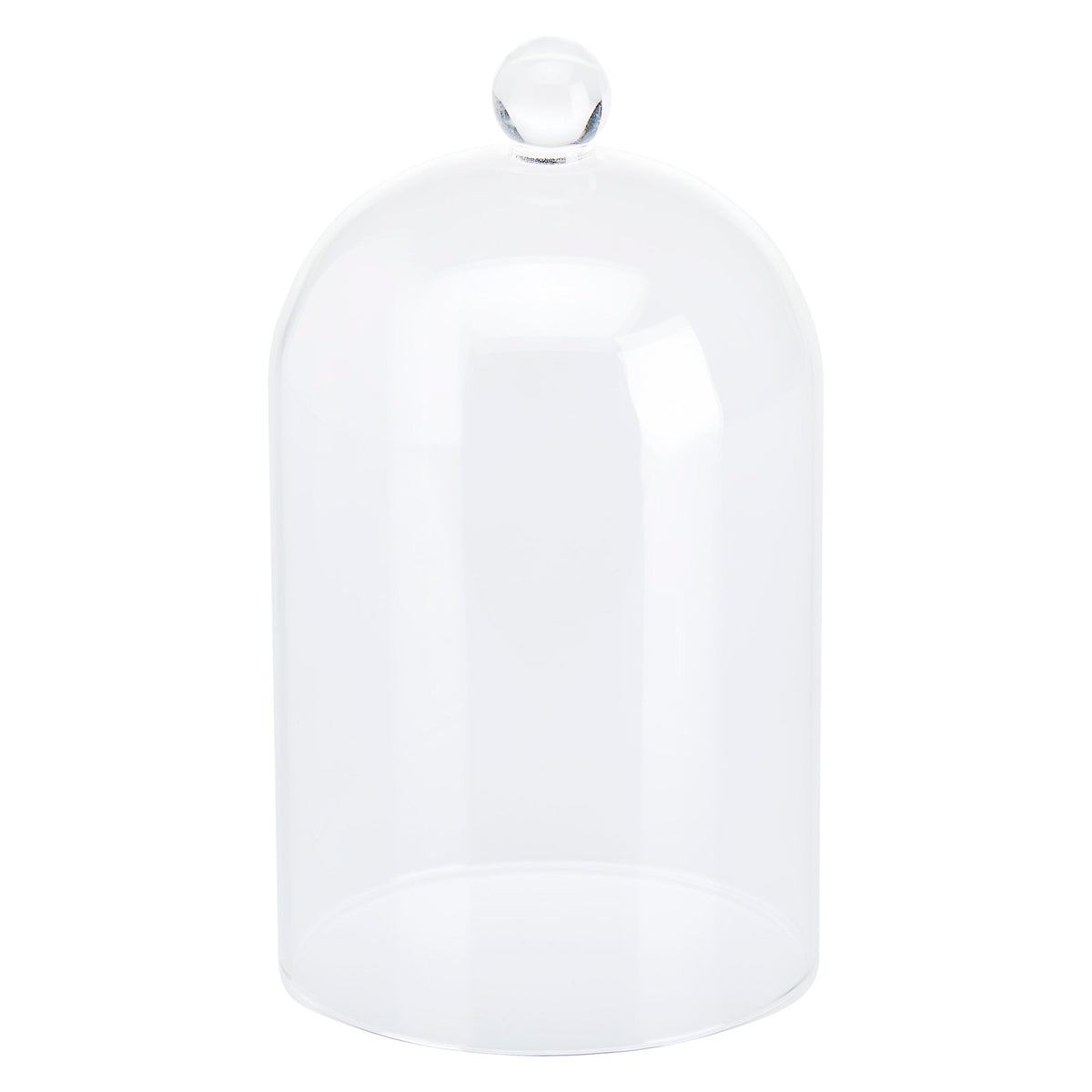 Cloche Glass Bell Jar with Solid Wood Base NEW SIZE