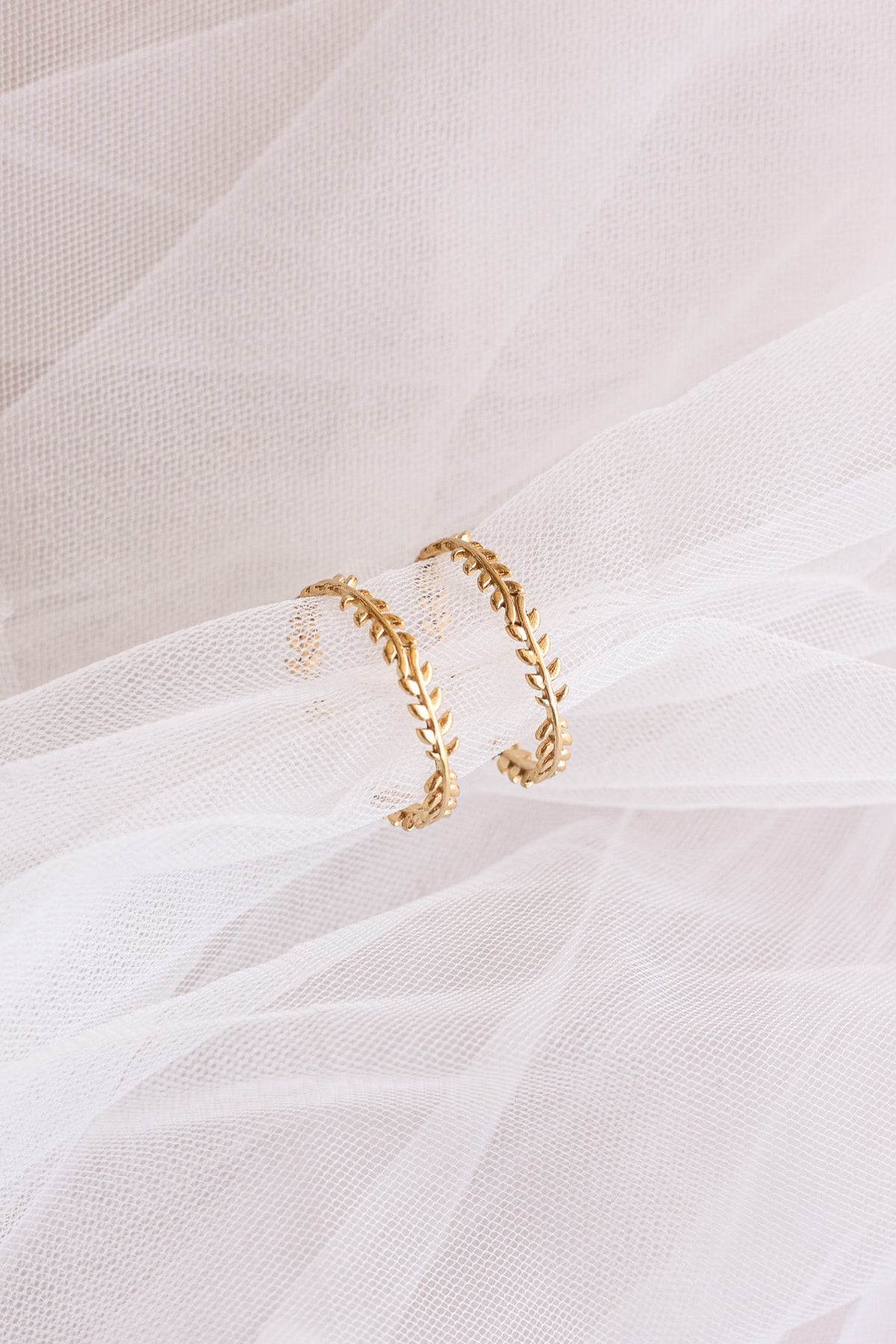 Ivy Hoop