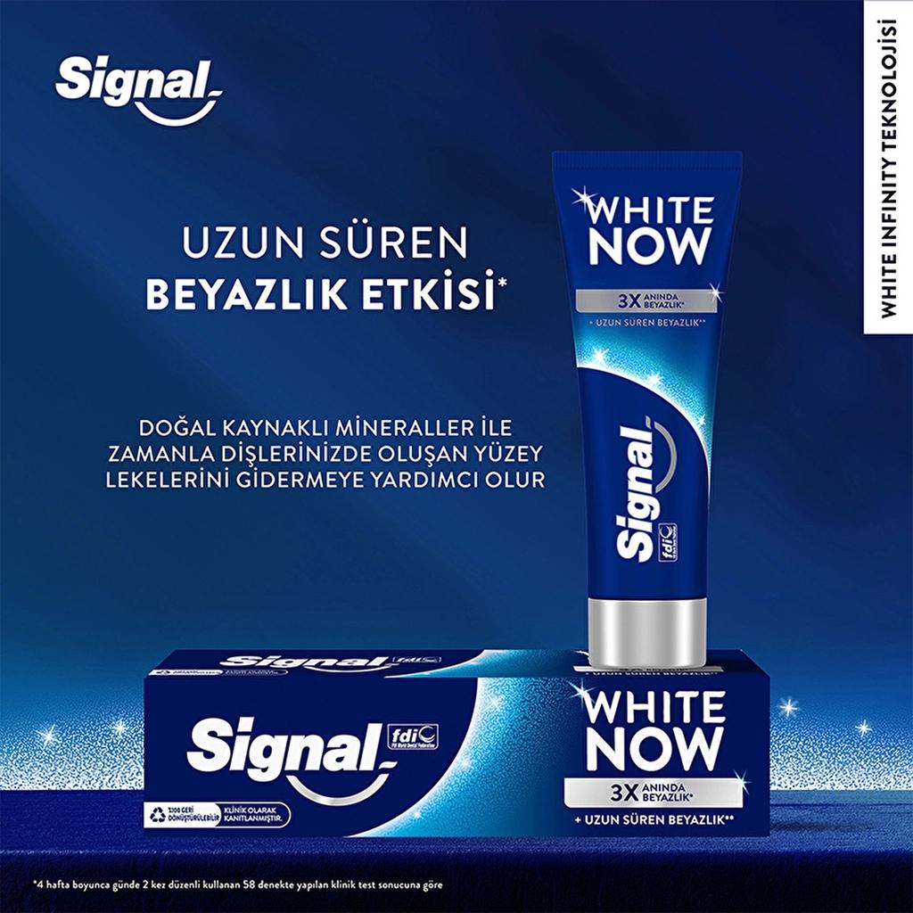 Signal White Now Stain Corrector Whitening Toothpaste 75 ml