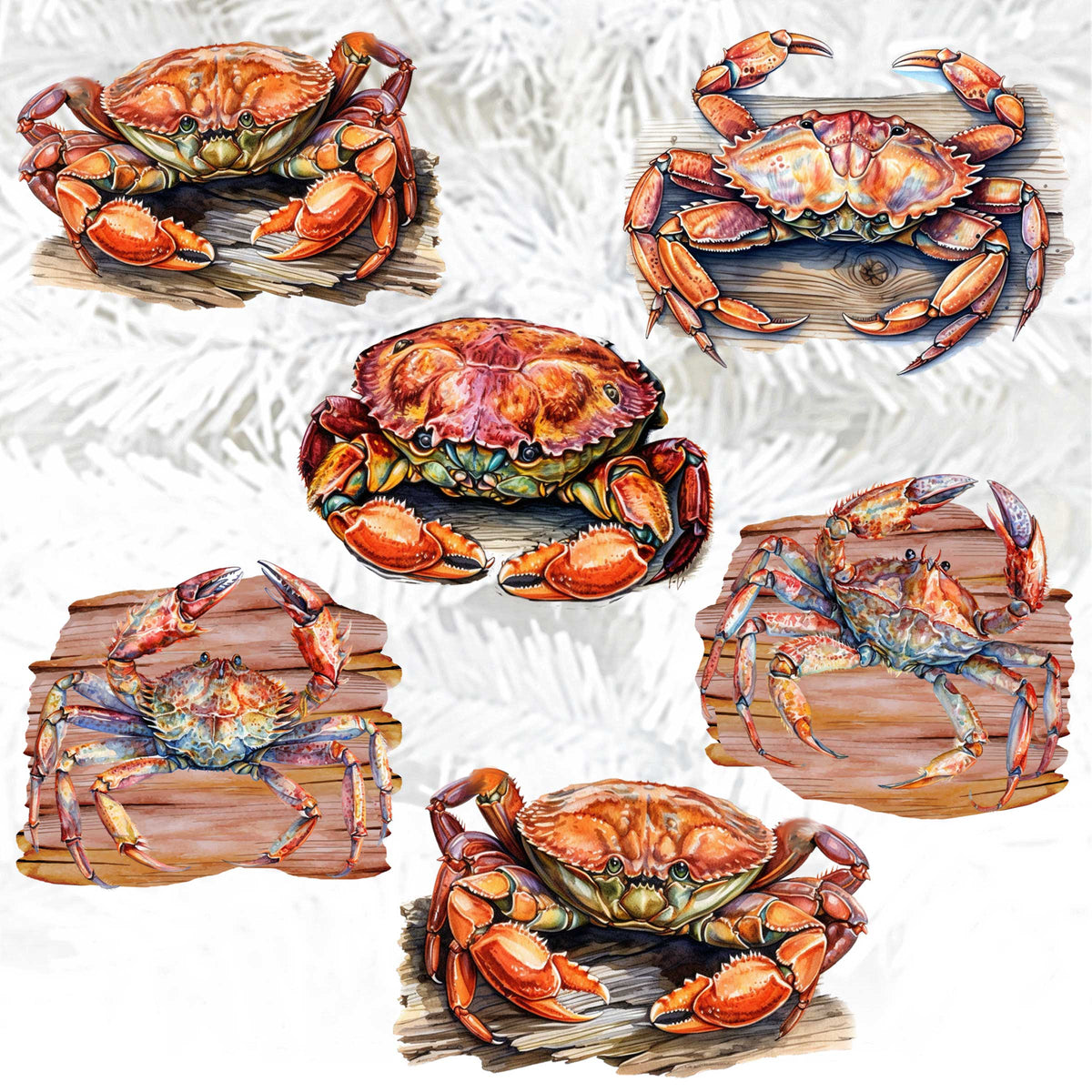 Crabs of the Wild Clip-On Eco Wood Decorative Ornaments Set of 6 by G. Debrekht - Wildlife Decor - 8090121C-S6