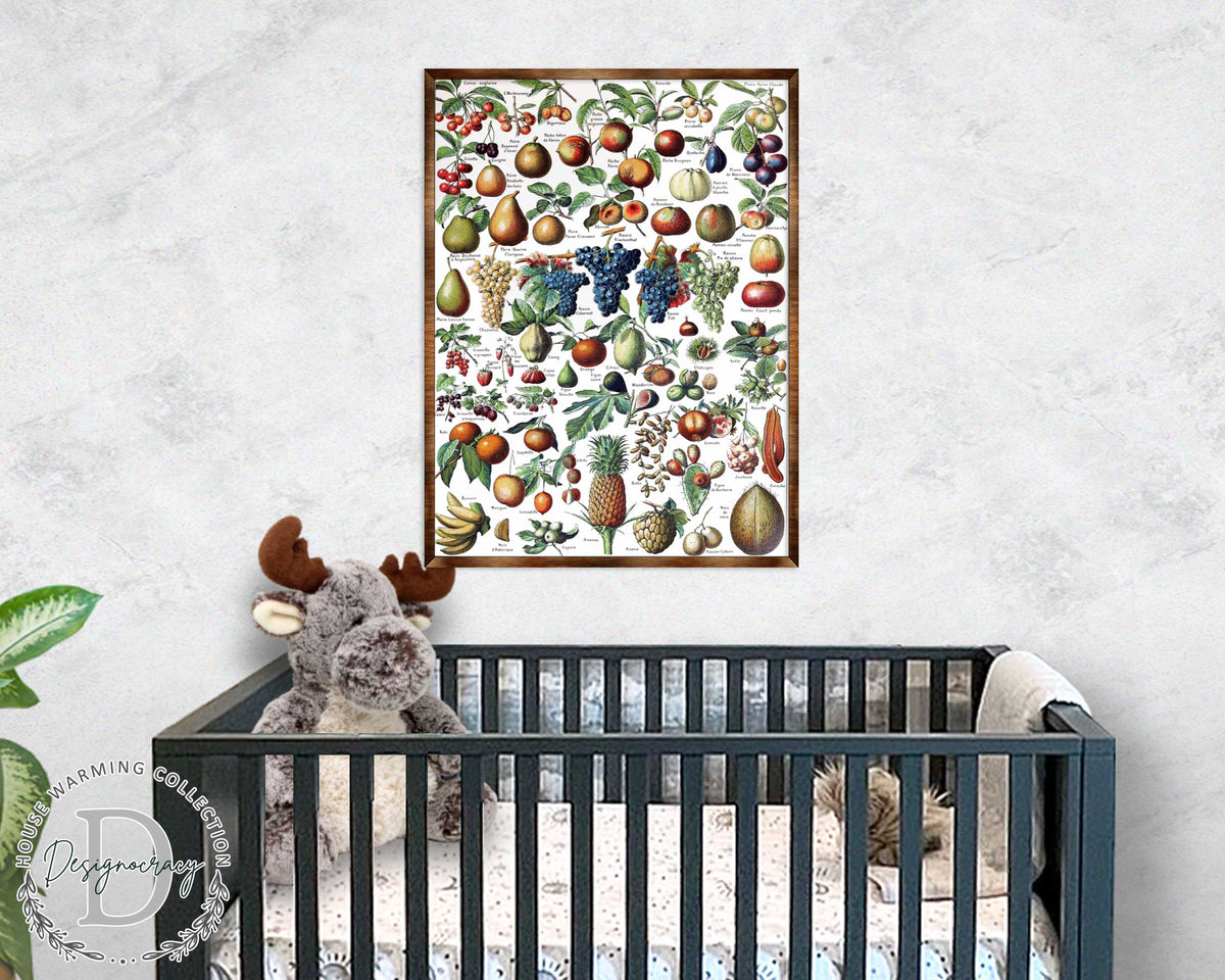 Montessori Wooden Poster Fruit #1