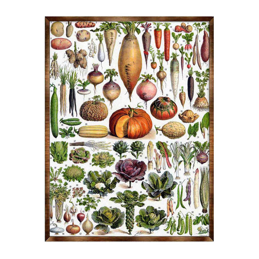 Montessori Wooden Poster Root Vegetables
