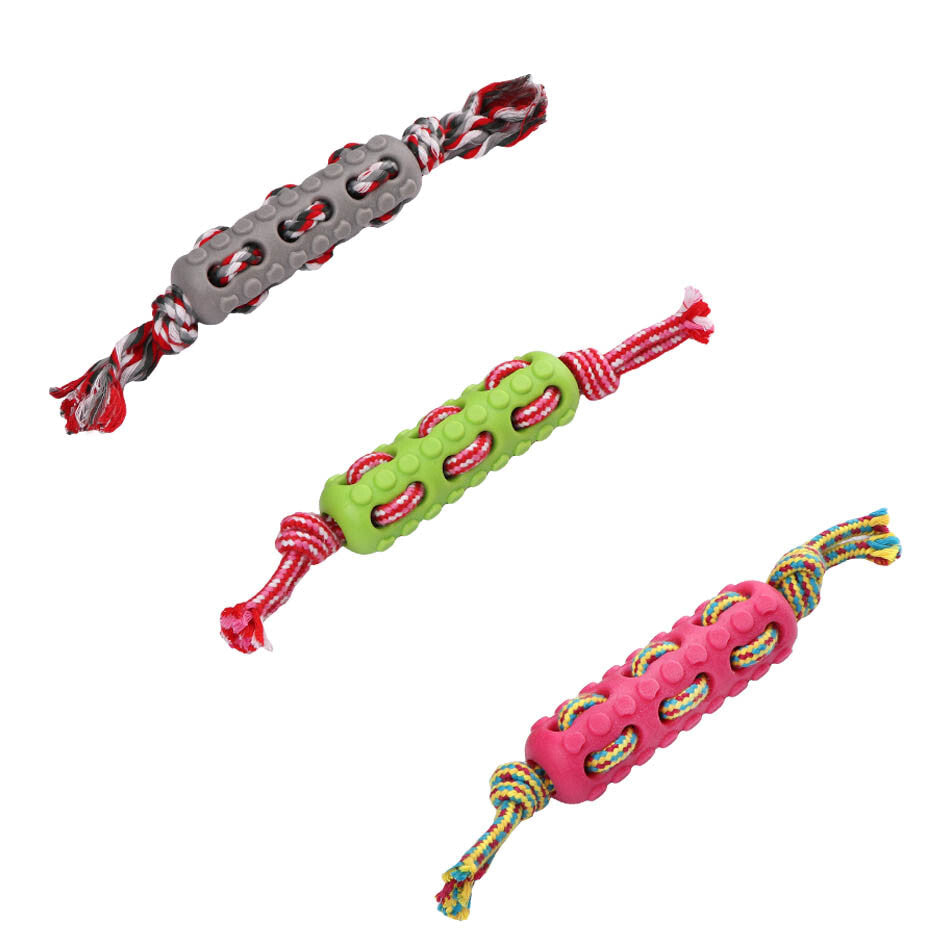 Eastland Rope & Plastic Dog Toy for Active Play 17.5 cm