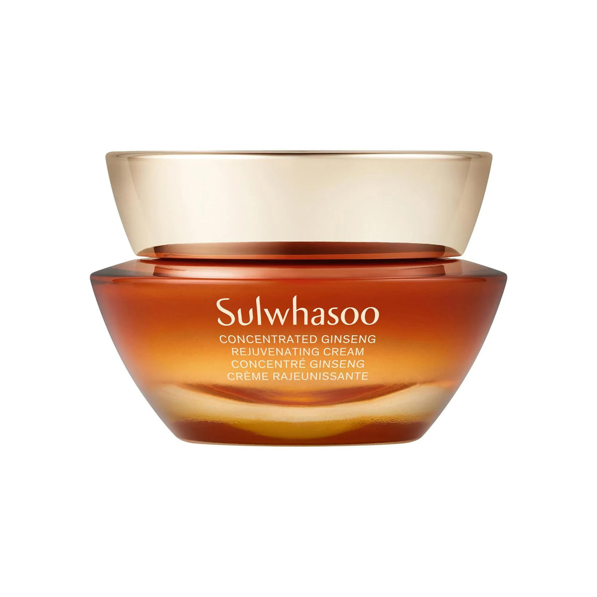Concentrated Ginseng: Rejuvenating Anti-Aging Face Cream | Wrinkle Reduction, Firming, & 24-Hour Hydration | Korean Vegan Skincare