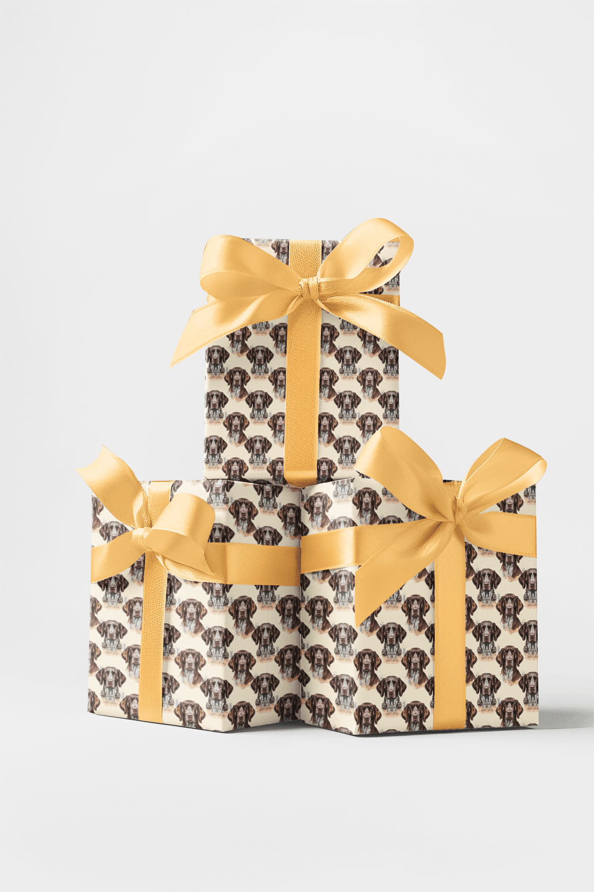 The Stylish Pointer Wrapping Paper