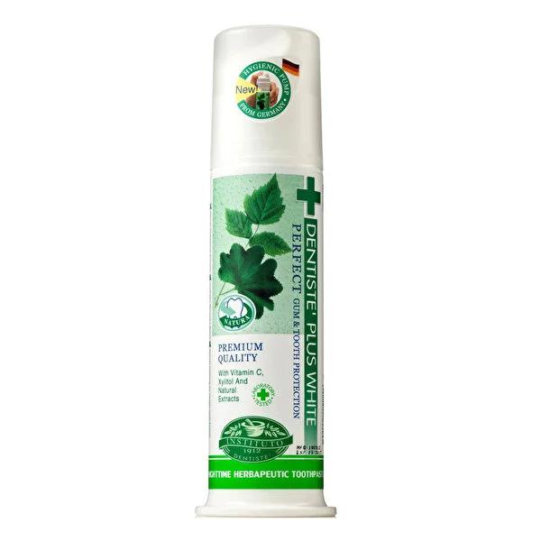 Dentiste Natural Nighttime Toothpaste for Long-Lasting Fresh Breath - 120g